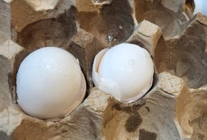 Soggy cardboard egg packaging