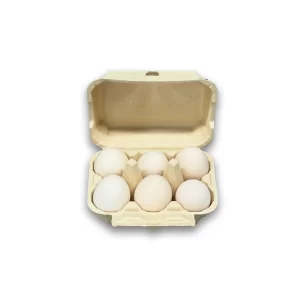 Bamboo Fiber Egg Carton - 6 cells