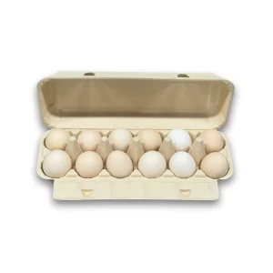 Bamboo Fiber Egg Carton - 12 cells