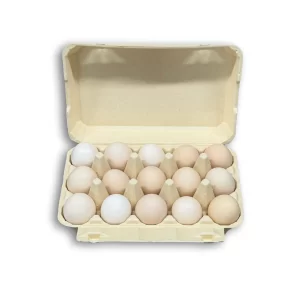 Bamboo Fiber Egg Carton - 15 cells