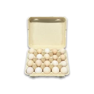 Bamboo Fiber Egg Carton - 20 cells