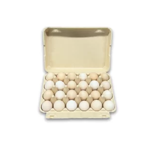 Bamboo Fiber Egg Carton - 24 cells