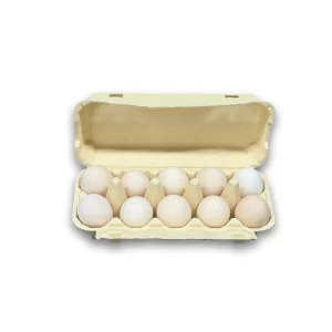 Bamboo Fiber Egg Carton - 10 cells