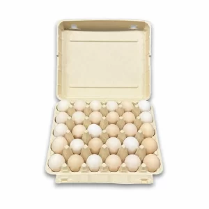 Bamboo Fiber Egg Carton - 30 cells
